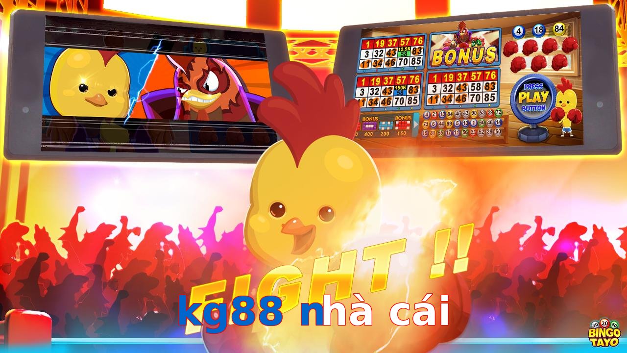kg88 nhà cái